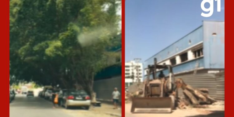 Vídeo mostra transformação de rua após retirada de árvores em Cuiabá